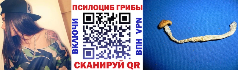 Галлюциногенные грибы MAGIC MUSHROOMS Ужур